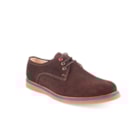 006 SH200 C Castanho1_1-1